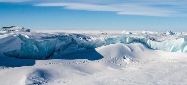 Polar bear den, Kara Sea. © Dmitry Ryabov / WWF-Russia